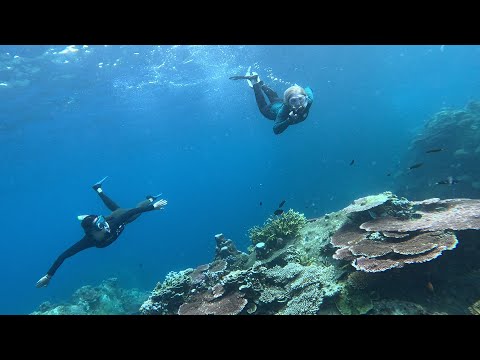 Cruising Malaysia, exploring cultures, snorkelling and rainforest on tropical Islands