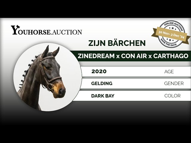 Zijn Bärchen