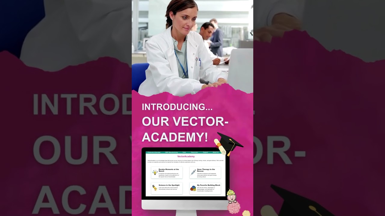 Introducing VectorAcademy!