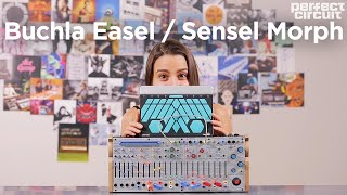 Video thumbnail for Buchla Easel Command + Sensel Morph Controller (Free Ableton Instrument Download) by Perfect Circuit