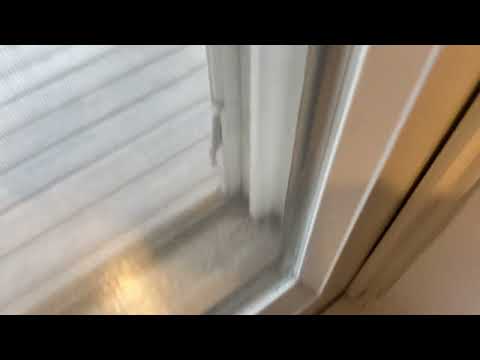 Invasive Mosquito Infests Home in Skillman, NJ