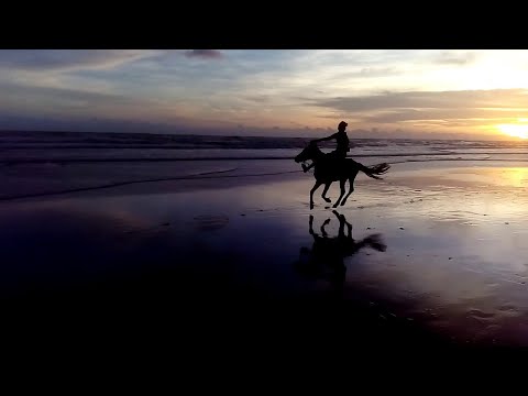 Cox's Bazar Horse Riding | Horse Riding in Sugandha Beach,Cox's Bazar | Riding at Cox's Bazar.