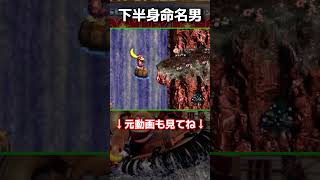 下半身に命名をする人だっているよきっと #shorts  #スーパードンキーコング3 #ゲーム実況