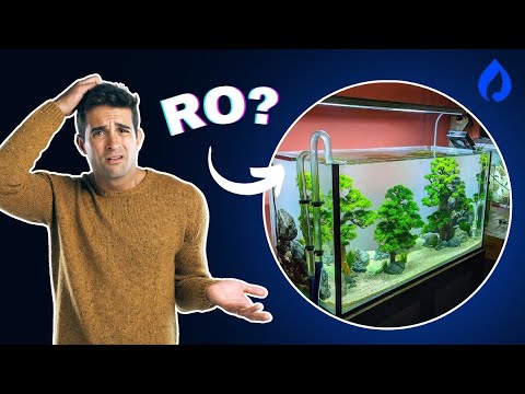 RO/DI Water for Aquariums: Best Reverse Osmosis System + How To Remineralize!