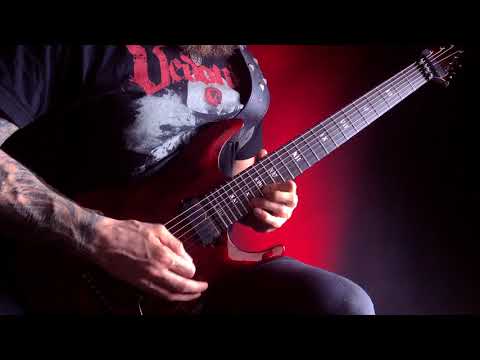 Vedonist - Visual Echo Of Distress (Guitar solo playthrough) by Dominik "Domin "Prykiel