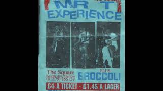 Mr T Experience live at the Square 18 10 96