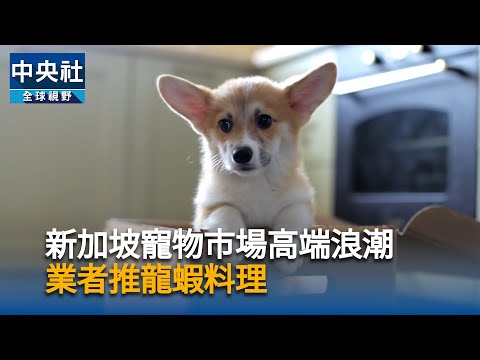 youtube影片