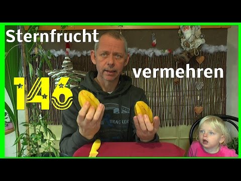 , title : 'Sternfrucht vermehren durch Samen Averroha Carambola'