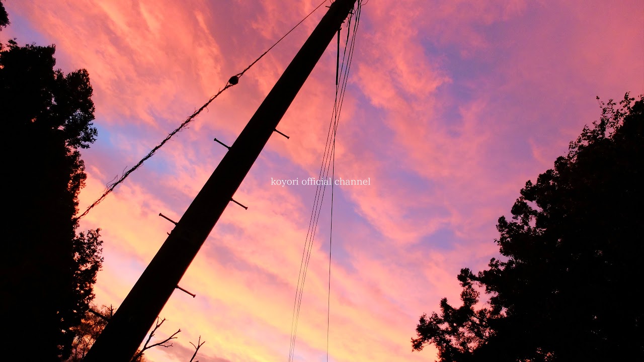 koyori/電ポルP のライブ配信