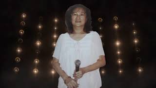 Download lagu Dien Lu cover by Ta Sau mp3