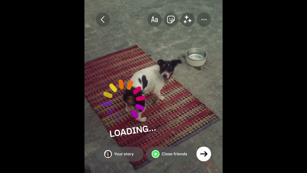 Instagram — #StoryTohBantiHai: Dog — Art Assistant for Meta / Instagram, 2024