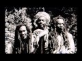 Israel Vibration - Strength Of My Dub