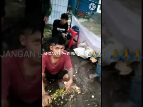 XTC DATANGIN BRIGEZ || TAPI XTC NYA MALAH KOCAR KACIR !!!