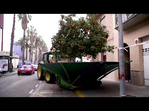 これらのトラクターは、それを雨のオレンジを作る (These tractors make it rain oranges)