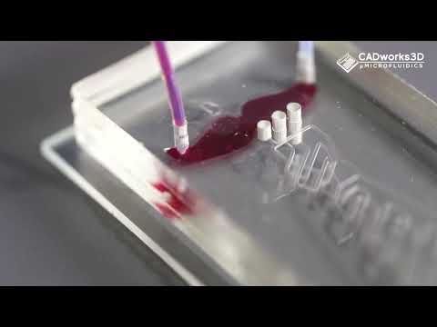 Fabricating a 3-Layered PDMS Microfluidic Device: Father's Day 2024