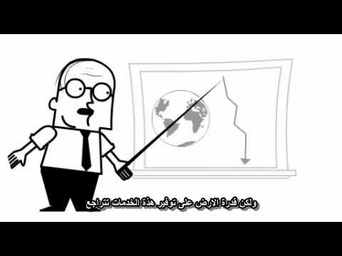الإستدامة - Sustainability