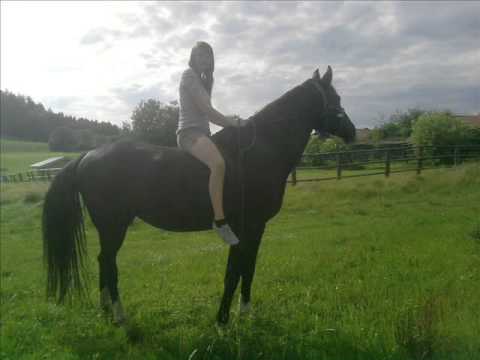 i give you everything. and you give me your Heart,... !