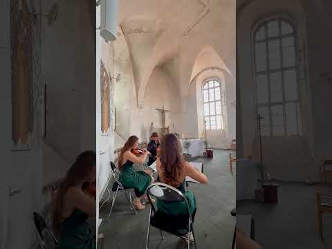 Styginių kvartetas/trio 4strings #4