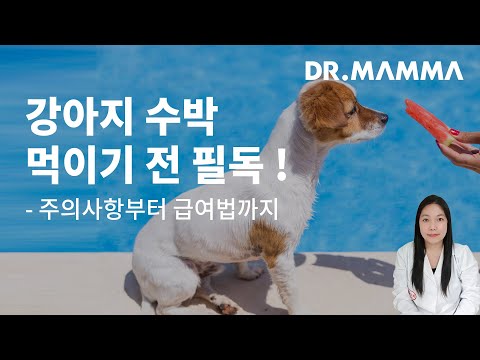 여름철 수분 보충, 수박이 제격인 이유