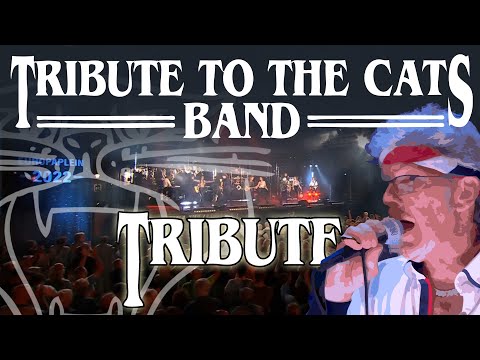 Tribute to the Cats Band (Our Tribute to the band with Kees Plat)