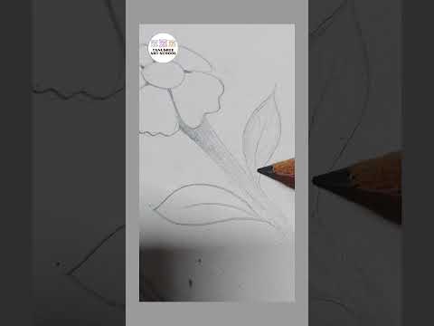 Flower drawing #flowerart #drawing #sketch #shorts #trending #youtubeshorts #viral