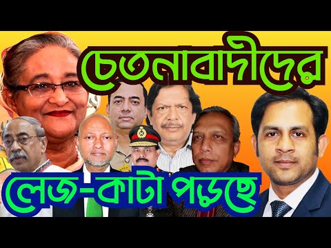 চেতনাবাদীদের লেজ কাটা পড়ছে #Nazmul_Hasan #New_York_Voice