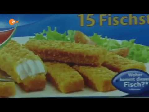 Die Lüge mit dem MSC Fischerei Zertifikat