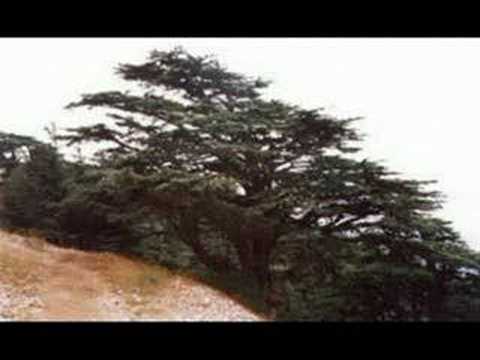 Jad Nakhle - Liban al Helo