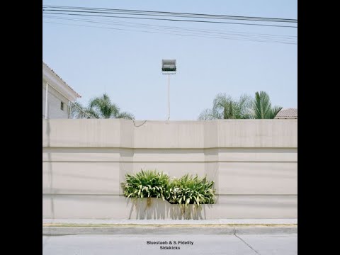 Bluestaeb & S Fidelity - F*ckin' Up