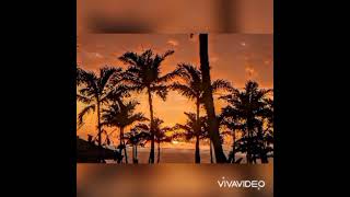 Geraldo Hoffmann - Bera sans retour