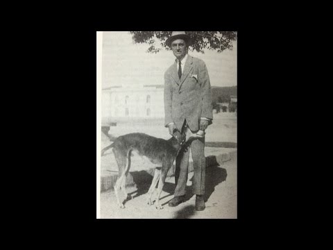 Immagine anteprima YouTube