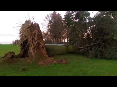 Mayor's Update: Winter Weather