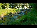 10 Minute Guided Compassion Meditation with Nature Sounds