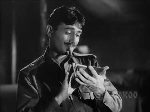 Hum Dono (1961) | Dev Anand | Sadhana | Classic Hindi Movie | Full HD