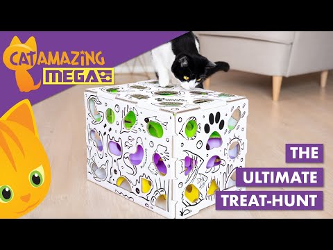The Ultimate Treat-hunt – Cat Amazing MEGA Interactive Puzzle Feeder Cat Toy