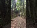 channel