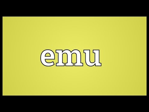 image-What emu means?