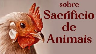 Sobre Sacrifício de Animais