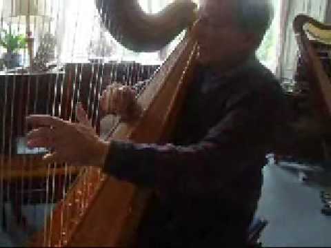David Watkins gives impromptu harp tutorial about the fist, the wrist and the forearm