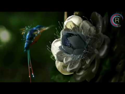 Aurosonic & Denis Karpinskiy & Kate Louise Smith - Heaven (Progressive Mix)