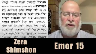 זרא שמשון אמור #15 5786 - רבי צבי חאן