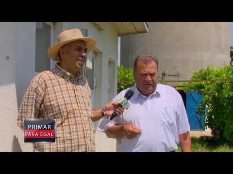 Primar fara egal Roseti calarasi OGhinea