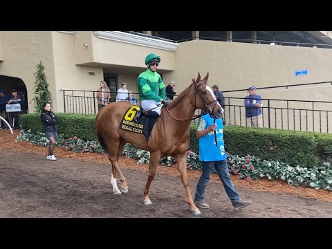 Regal Glory demolishes the 2022 Grade 1 Matriarch Stakes in her last career start at Del Mar 12/4/22