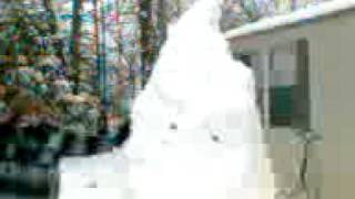 preview picture of video 'giant snow tower in Indiana'