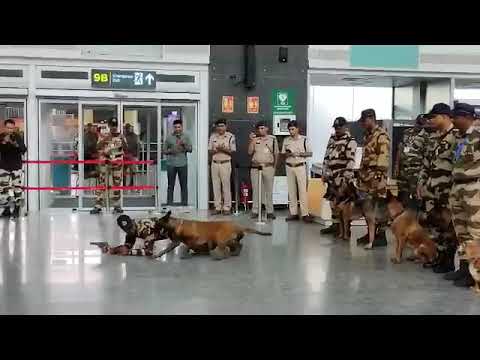 Sniffer Demo//CISF//PARAMILITARY 🇮🇳🇮🇳🇮🇳