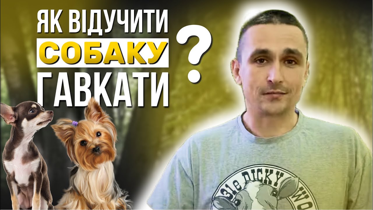 YouTube video preview