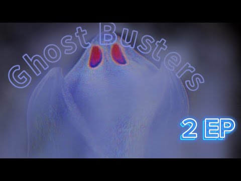 Siamo diventati i cacciatori di fantasmi 2EP