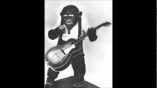 Don&#39;t You Monkey With My Widder - Jason D Roberts