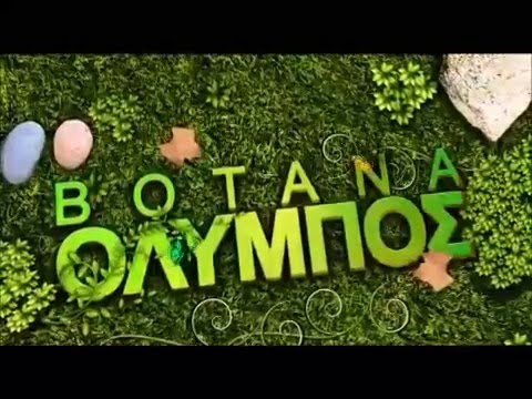 Distillation of essential oils oregano oil RU