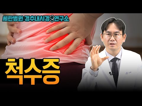 SCI 논문으로 검증된 김지연 선생님의 '척수증 수술법' 포트폴..